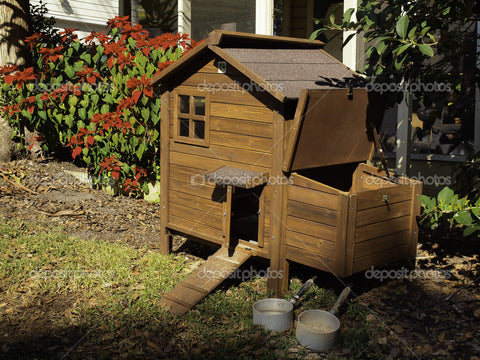 Chicken Coops